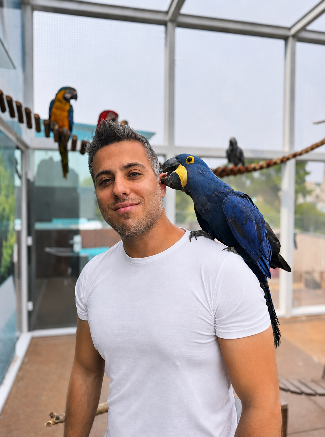 Delegado com arara